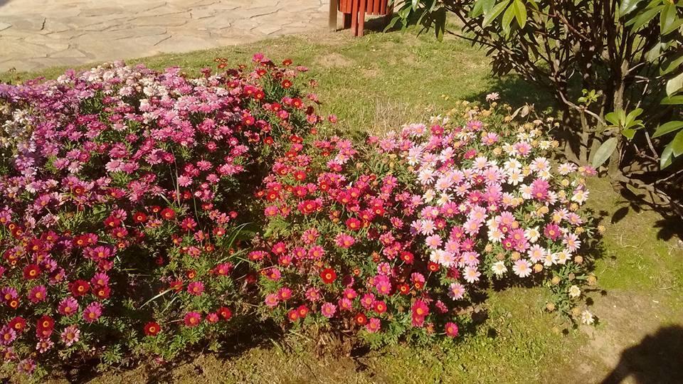 Alen Do Mis - Hotel Rural Foz Kültér fotó